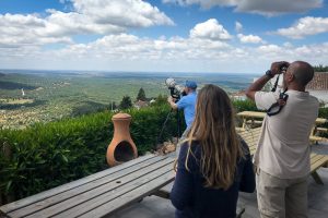 Bird Watching across the plain
